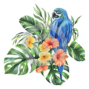Tropical palm leaves, monstera and flowers of plumeria, hibiscus, bright juicy with blue-yellow macaw parrot. Hand drawn