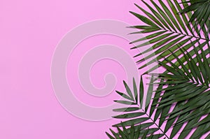 Tropical palm leaves on pastel pink background. Flat lay, top view, copy space. Summer background, nature. Creative minimal