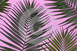 Tropical palm leaves on pastel pink background. Flat lay, top view, copy space. Summer background, nature. Creative minimal