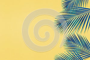 Tropical palm leaves pattern with copy space on pastel color