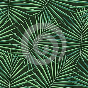 Tropical palm leaves pattern seamless background. Exotic fashion trendy floral foliage pattern. Seamless beautiful botany palm tre