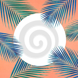 Tropical palm leaves pattern with white copy space on pastel