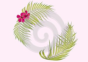 Tropical palm leaves on pink background. Minimal nature. Summer