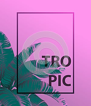 Tropical palm leaves on pink background. Minimal nature summer concept. Flat lay. Trendy Summer Tropical Leaves Vector