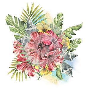 Tropical palm leaves with red hibiscus flowers, yellow flowers and seashells. Watercolor illustration. Composition from