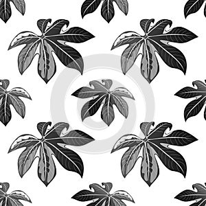 Tropical palm leaves seamless floral pattern background for decorative and display purpose.Ideal for florist,event promotions,wedd