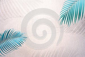 Tropical palm leaves and shadow lay down on white sand floor minimal  summer background concept