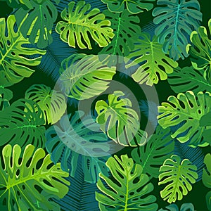 Tropical palm and monstera leaves, jungle leaf seamless vector floral pattern background.