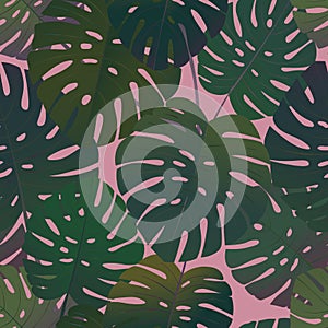 Tropical palm monstera leaves seamless pattern