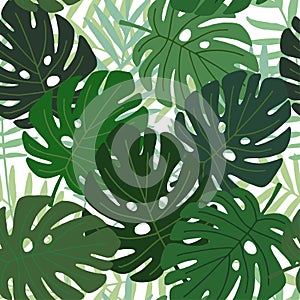 Tropical palm and monstera leaves seamless pattern, flat design, illustration
