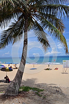 Tropical palm tree and beach scene Phuket Thailand