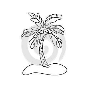 Tropical palm tree continuous line drawing photo