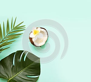 Tropical palm tree leaf on a blue background. Vibrant minimal fashion concept. Design with copy space