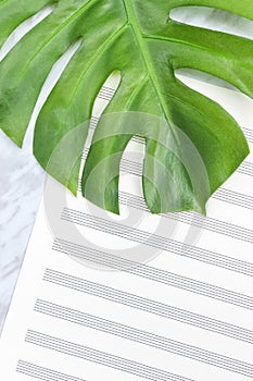 Tropical palm tree leaf on empty sheet music paper