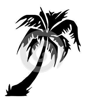 Tropical palm tree silhouette