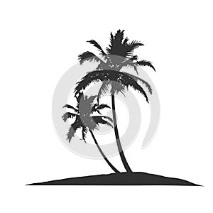 Tropical palm tree silhouette. Stock Vector illustration isolated on white background