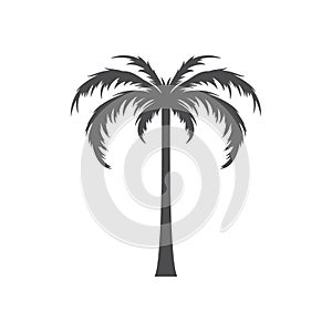 Tropical palm tree silhouette. Stock Vector illustration isolated on white background.