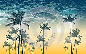 Tropical palm tree silhouette at sunset or moonlight, with cl