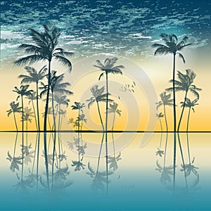 Tropical palm tree silhouette at sunset or moonlight, with clou