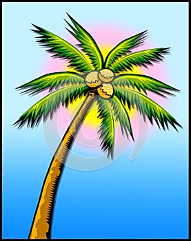 Tropical palm tree w/sun