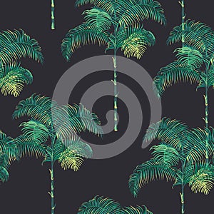 Tropical Palm Trees Background