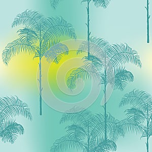 Tropical Palm Trees Background