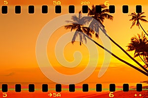 Tropical palm trees on beach at sunset, retro film