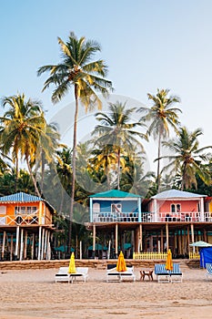 Tropical palm trees and bungalow in Palolem beach, Goa, India