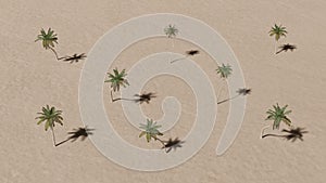 Tropical palm trees minimalist background. Trendy fashion style. Minimal design art. 3d render