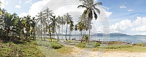 Tropical palm trees and ocean landscape at Las Galeras Beach in the SamanÃ¡ Bay of Caribbean Dominican Republic.