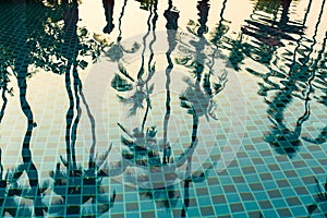 Tropical palm trees reflection in the water pool. Asia.