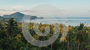 Tropical palm trees and seascape on Koh Tao island in the morning sunrise