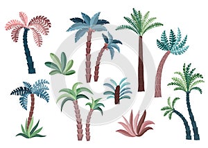 Tropical palm trees set.