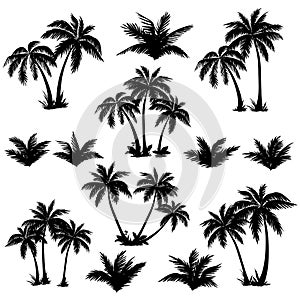 Tropical palm trees set silhouettes photo