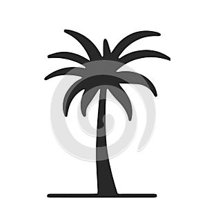 Tropical Palm Trees Silhouette Set