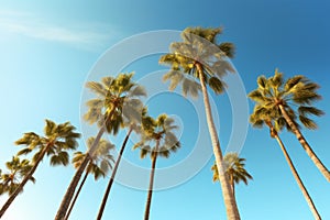 Tropical palm trees view blue sky. Generate Ai