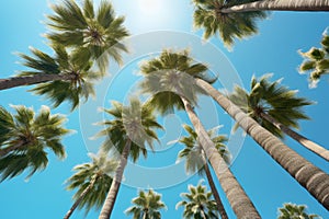 Tropical palm trees view. Generate Ai