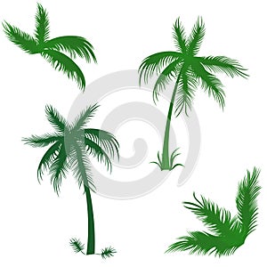Tropical palms set