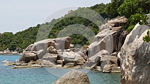 Tropical palms and stones on small beach. Many green exotic palms growing on rocky shore near calm blue sea in Hin Wong Bay on