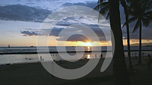 Tropical Palms at Sunset