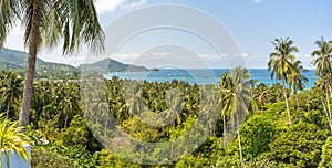 Tropical panoramic landscape with palm trees, blue sky and view on sea