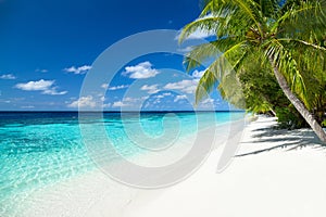Tropical paradise beach background photo