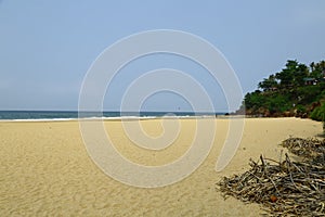 A tropical paradise beach  from India. Varkala. Kerala. top angle view.