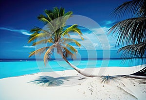 Tropical paradise beach landscape with white sand and coco palm.