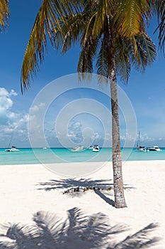 Tropical paradise beach Playa Norte photo