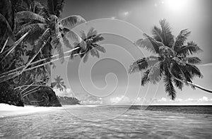 Tropical Paradise Beach Seascape Travel Destination Concept