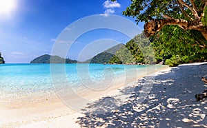 A tropical paradise beach at the Surin Islands, Andamansea