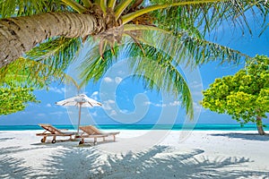 Tropical paradise beach with white sand and coco palms travel tourism wide panorama background. Luxury vacation and holiday banner