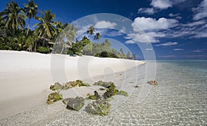 Tropical Paradise - The Cook Islands