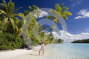 Tropical Paradise - The Cook Islands